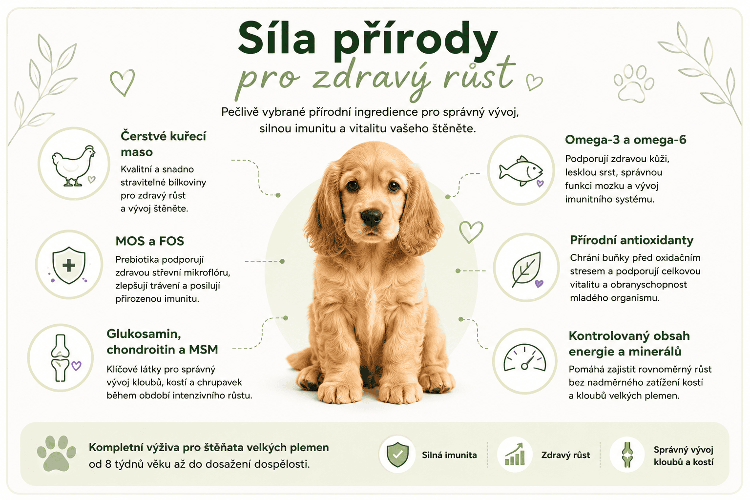 Arden Grange Puppy Junior síla přírody pro štěňata